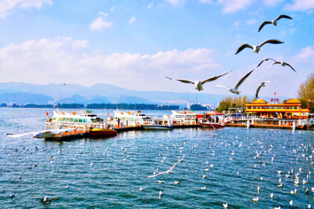 旅游